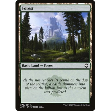Forest