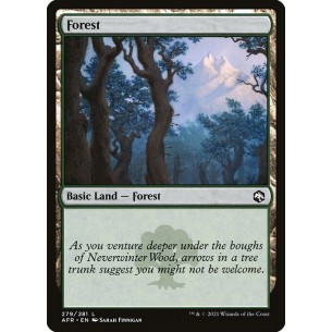 Forest