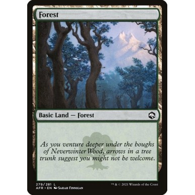 Forest