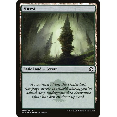 Forest