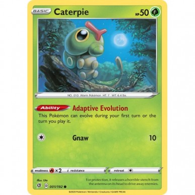 Caterpie