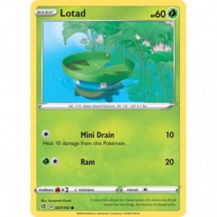 Lotad
