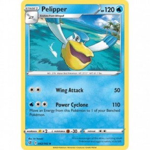 Pelipper