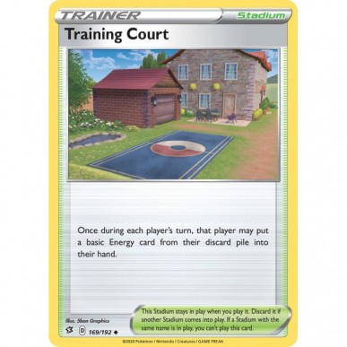 Training Court