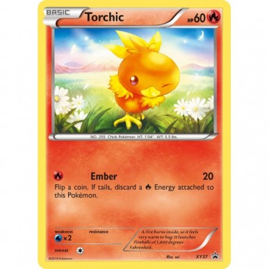 Torchic