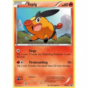 Tepig