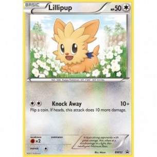 Lillipup