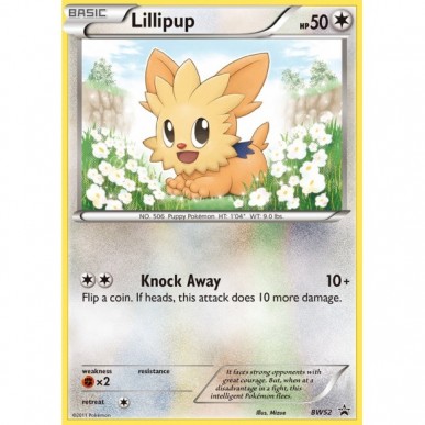 Lillipup