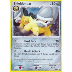 Shieldon