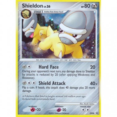Shieldon