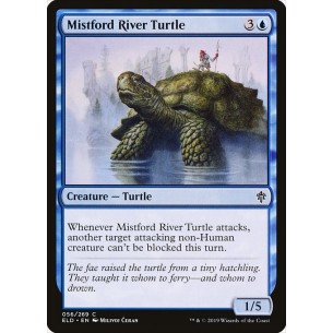 Tartaruga del Fiume Brumaguado