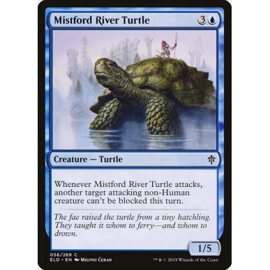 Tartaruga del Fiume Brumaguado