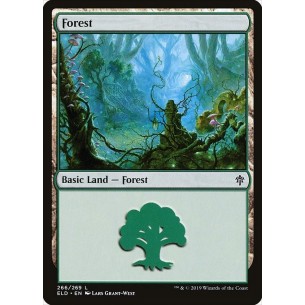 Foresta
