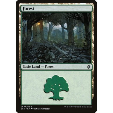 Foresta