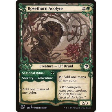 Rosethorn Acolyte // Seasonal Ritual