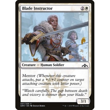 Blade Instructor