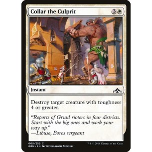 Acciuffare il Colpevole