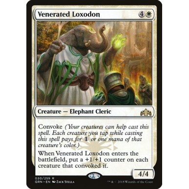 Lossodonte Venerato