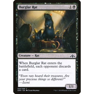 Ratto Predatore