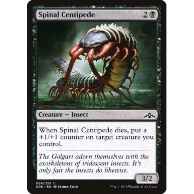 Spinal Centipede
