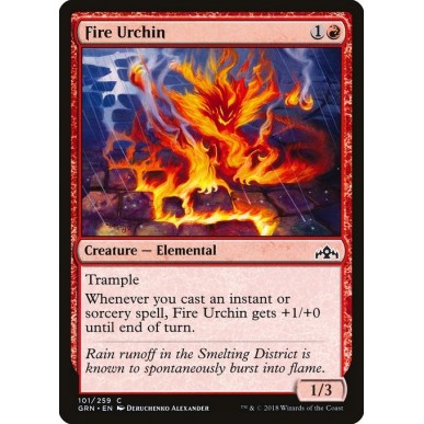 Fire Urchin
