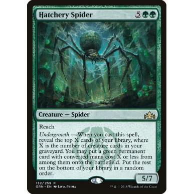 Hatchery Spider