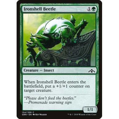Ironshell Beetle