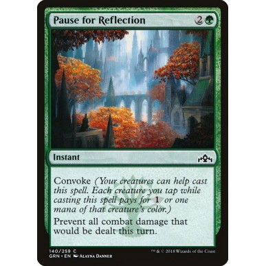 Pause for Reflection