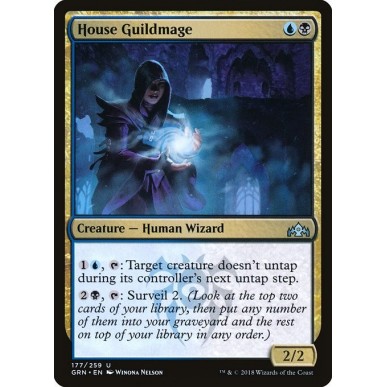 House Guildmage