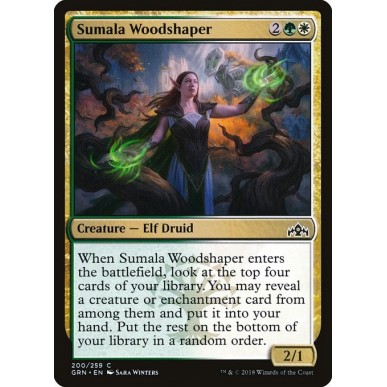 Plasmalegno di Sumala