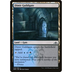Dimir Guildgate
