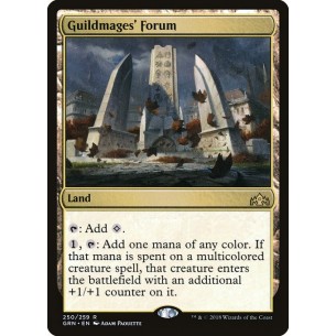 Foro dei Maghi delle Gilde
