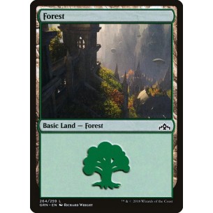 Forest