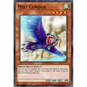 Condor delle Nebbie