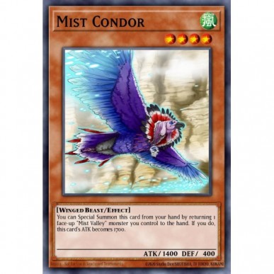 Condor delle Nebbie