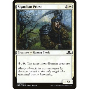 Sacerdotessa di Sigarda