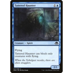 Tattered Haunter