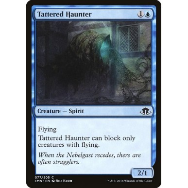 Tattered Haunter