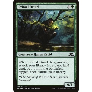 Primal Druid