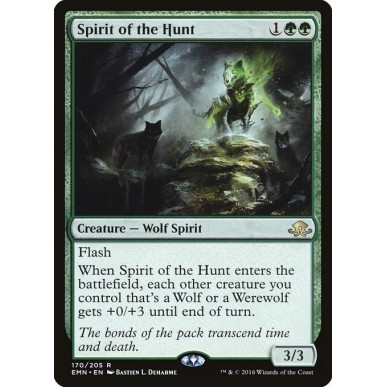 Spirit of the Hunt