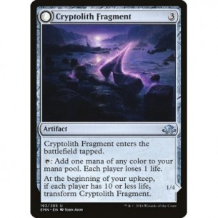 Frammento di Criptolito //...