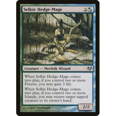 Selkie Maga Ambulante