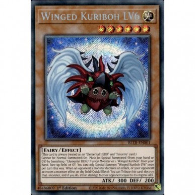 Winged Kuriboh LV6 (V.1 - Secret Rare)