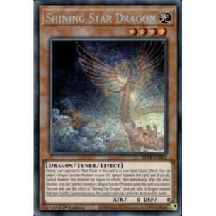 Drago Stella Brillante (V.1...