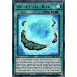 Scogliera Cerchio Bianco