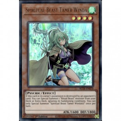 Domatore Avatar Bestia Spirito Winda