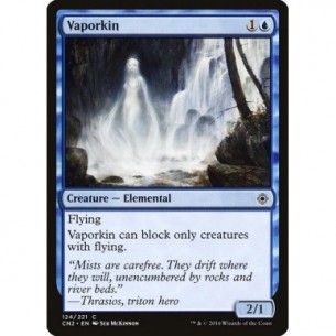 Vaporkin