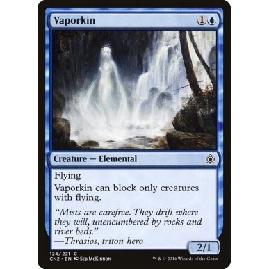 Vaporkin