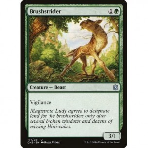 Brushstrider