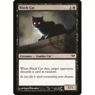 Gatto Nero